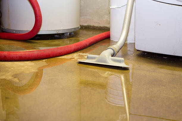Best Basement water damage restoration  in Topaz Ranch Estates, NV